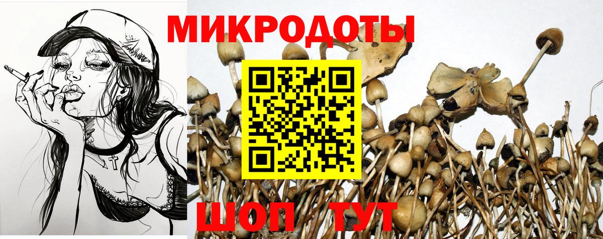 Псилоцибиновые грибы MAGIC MUSHROOMS  Вход с VPN  Касимов 